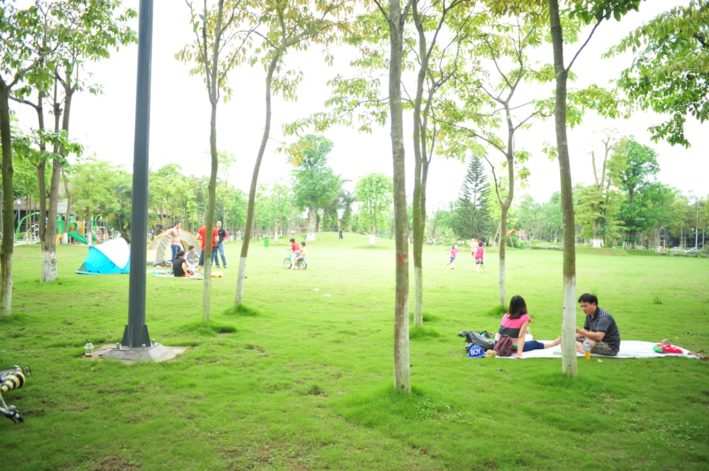Cắm trại tại công viên mùa Hạ Ecopark