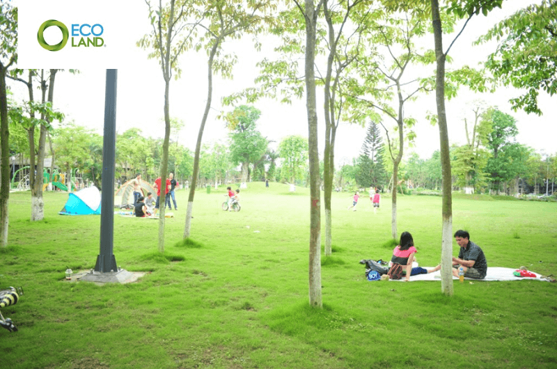 Công viên mùa hạ nổi bật với bãi cỏ xanh