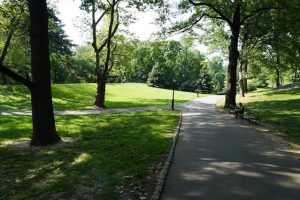 Công viên và hồ cảnh quan